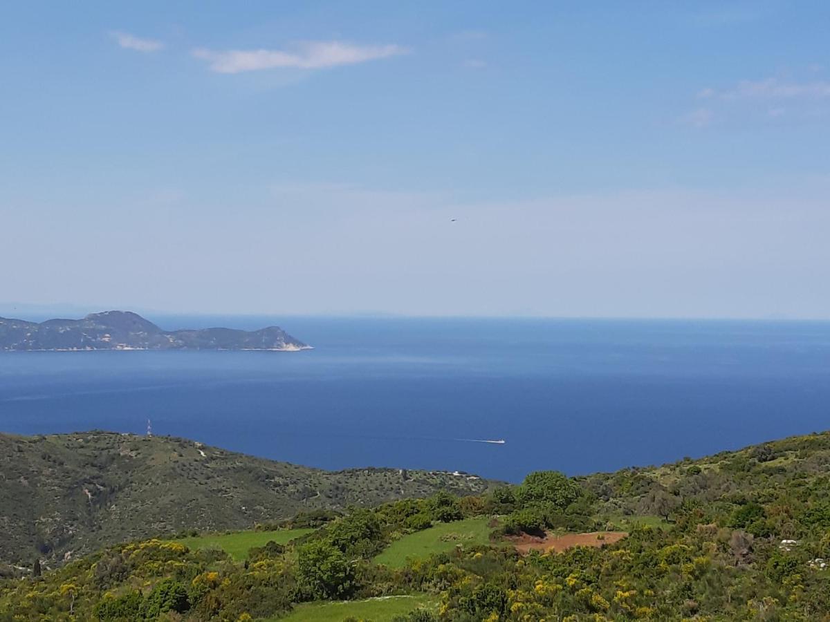 Villa Vagelis Муртери Екстериор снимка